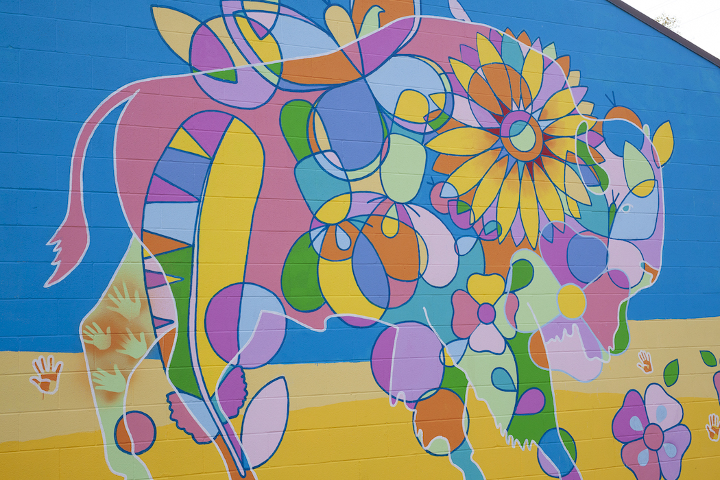 Photograph of Bruno Canadien painting a colourful, large-scale mural that has a bison and other animals, as well as, floral patterns on the side of a building.