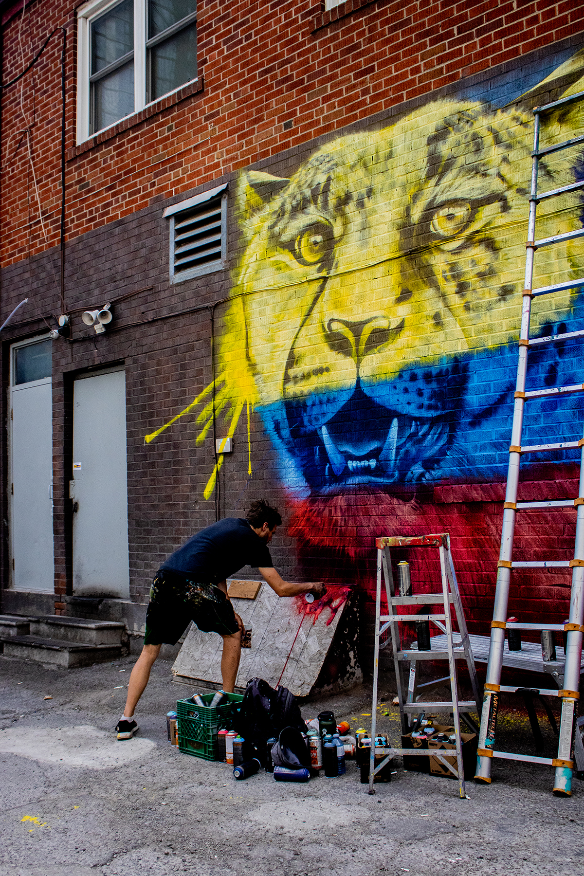 Photo of an artist painting a mural of a leopard in yellow, blue and red - there is a ladder, window and box of spray paints in the image