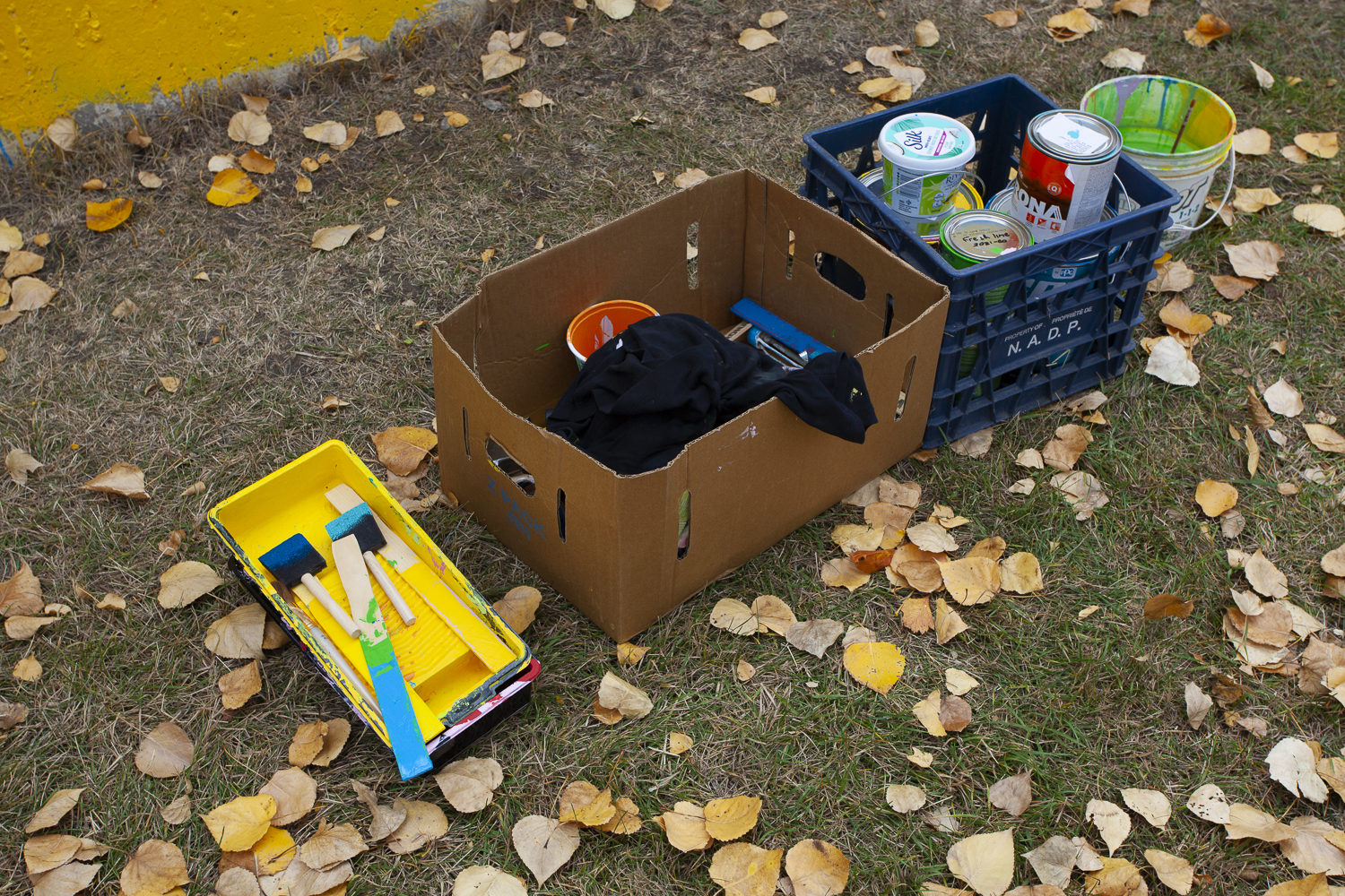 Photo of Bruno Canadien’s art supplies for painting his mural “Source of Life”. Its on a grassy area with fall leaves in front of the building.