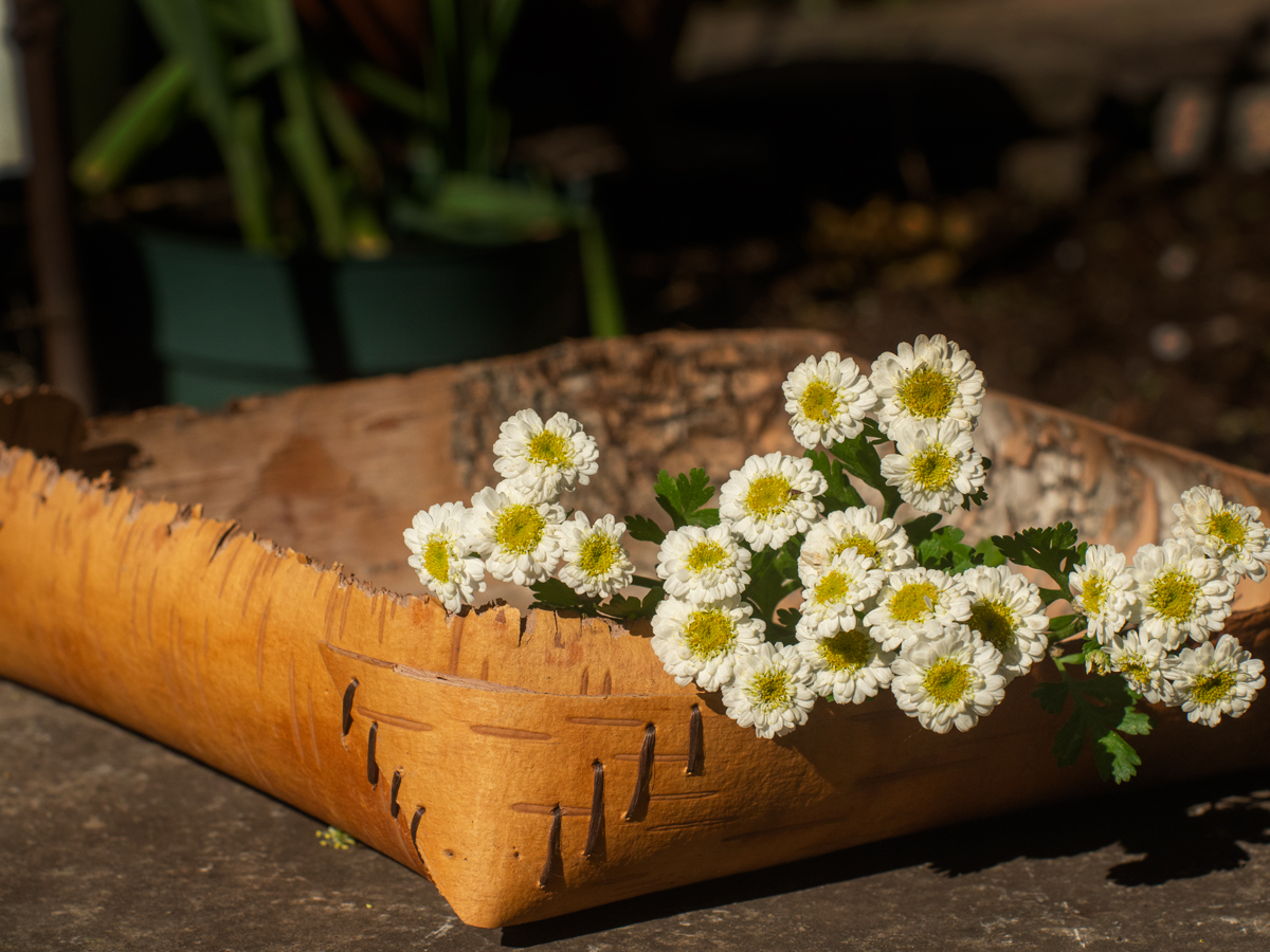 birch basket holding white flowers on a rock surface