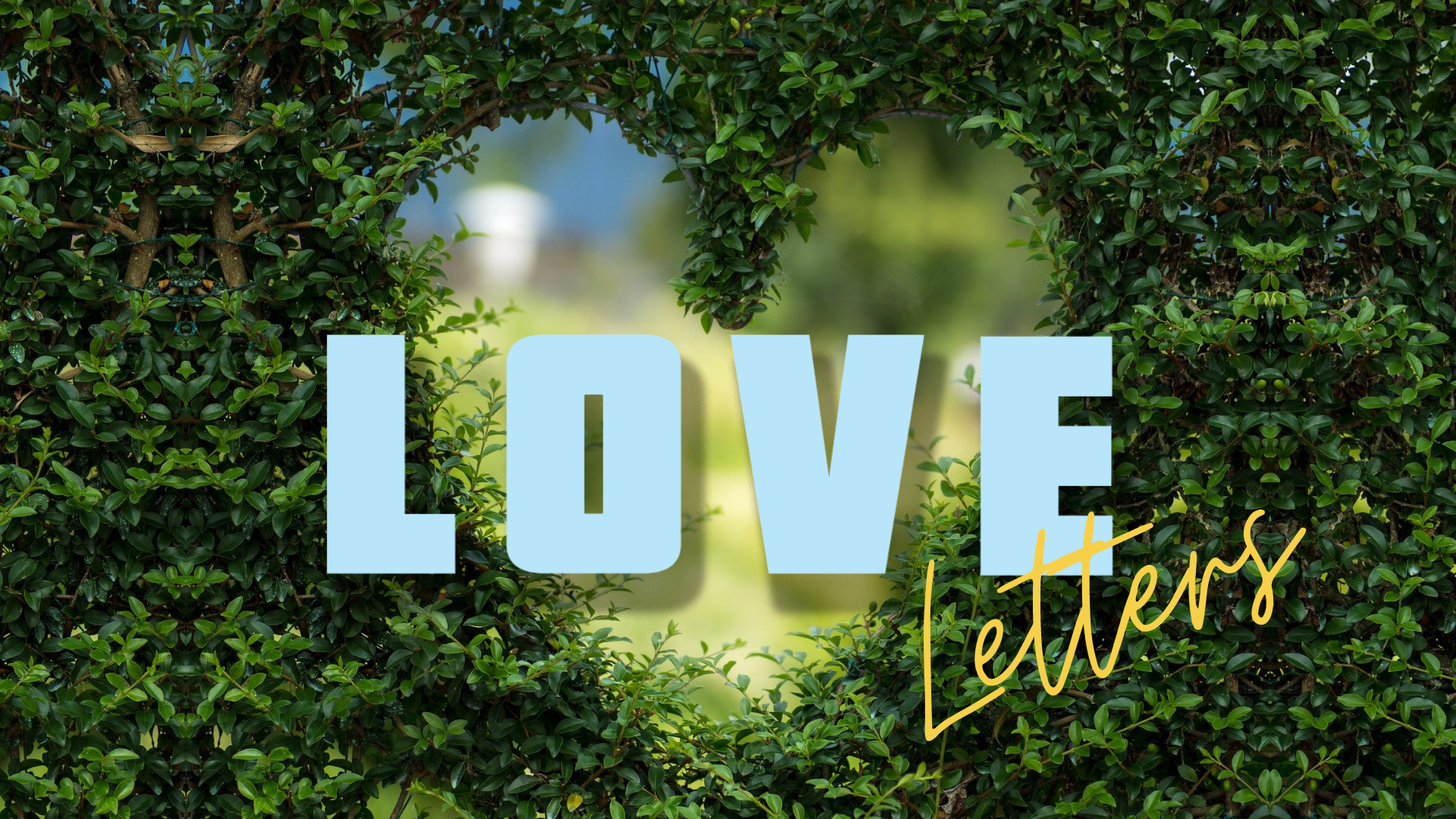 Lush dark green shrubbery with a heart shape cut out of the green bush at the very centre. Text seen in the centre of the heart reads “LOVE Letters,” with “LOVE” seen in pale blue block letters, and “Letters” in cursive and a mustard yellow colour.
