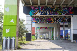 Colourful series of murals under Toronto's Gardiner highway