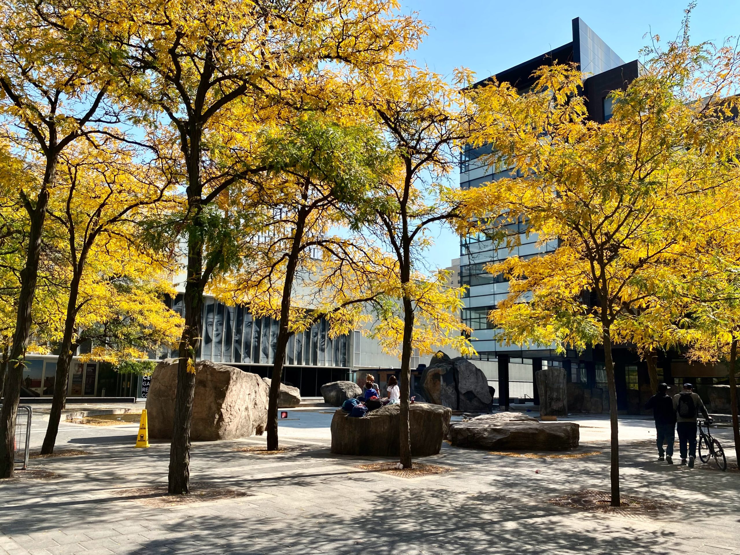 View of the toronto metropolitan university