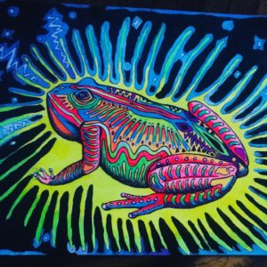 frog painted in bright neon colours with blue background