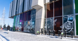 Photo of the white vinyl decals of bird designs on windows with tinted colours of green and pink. It is outdoors, with snow on the ground - there is a bike rack outside and a person in a winter coat walking away.