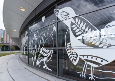 A large scale white vinyl window mural on a subway station building. The mural is the height of the glass windows and includes imagery of different birds