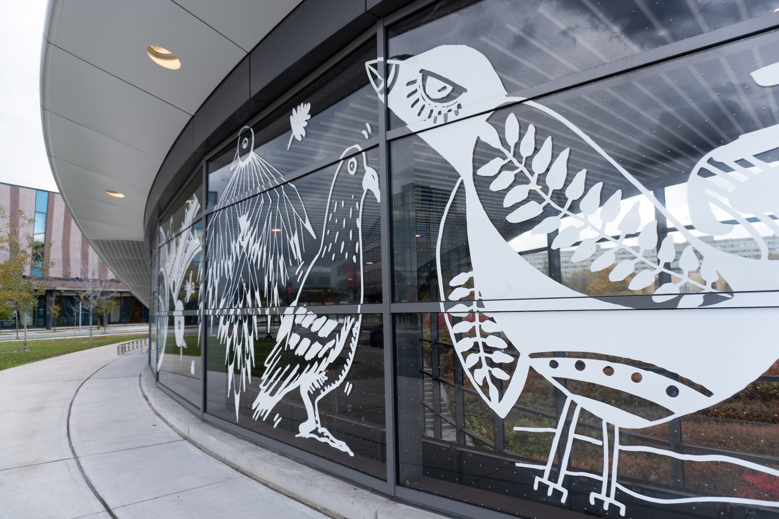 A large scale white vinyl window mural on a subway station building. The mural is the height of the glass windows and includes imagery of different birds