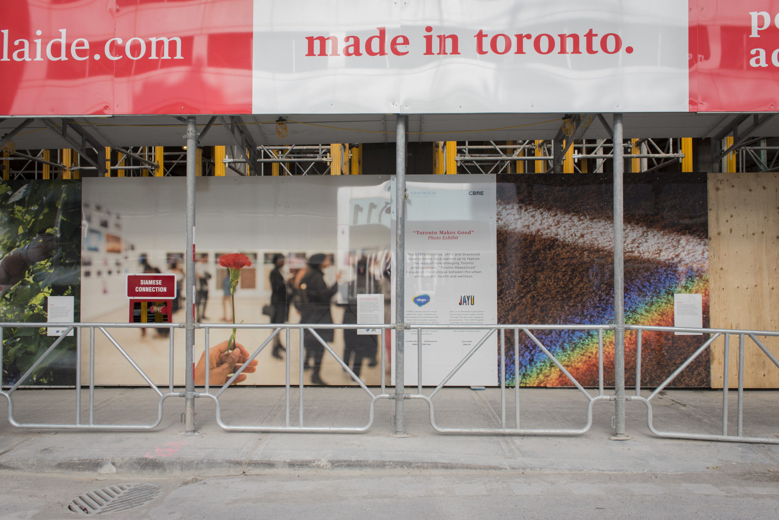 Toronto Makes Good Hoarding Exhibit featuring photograph by Leilah Dhoré of a rose in an art gallery and photograph by Holly Chang of a rainbow