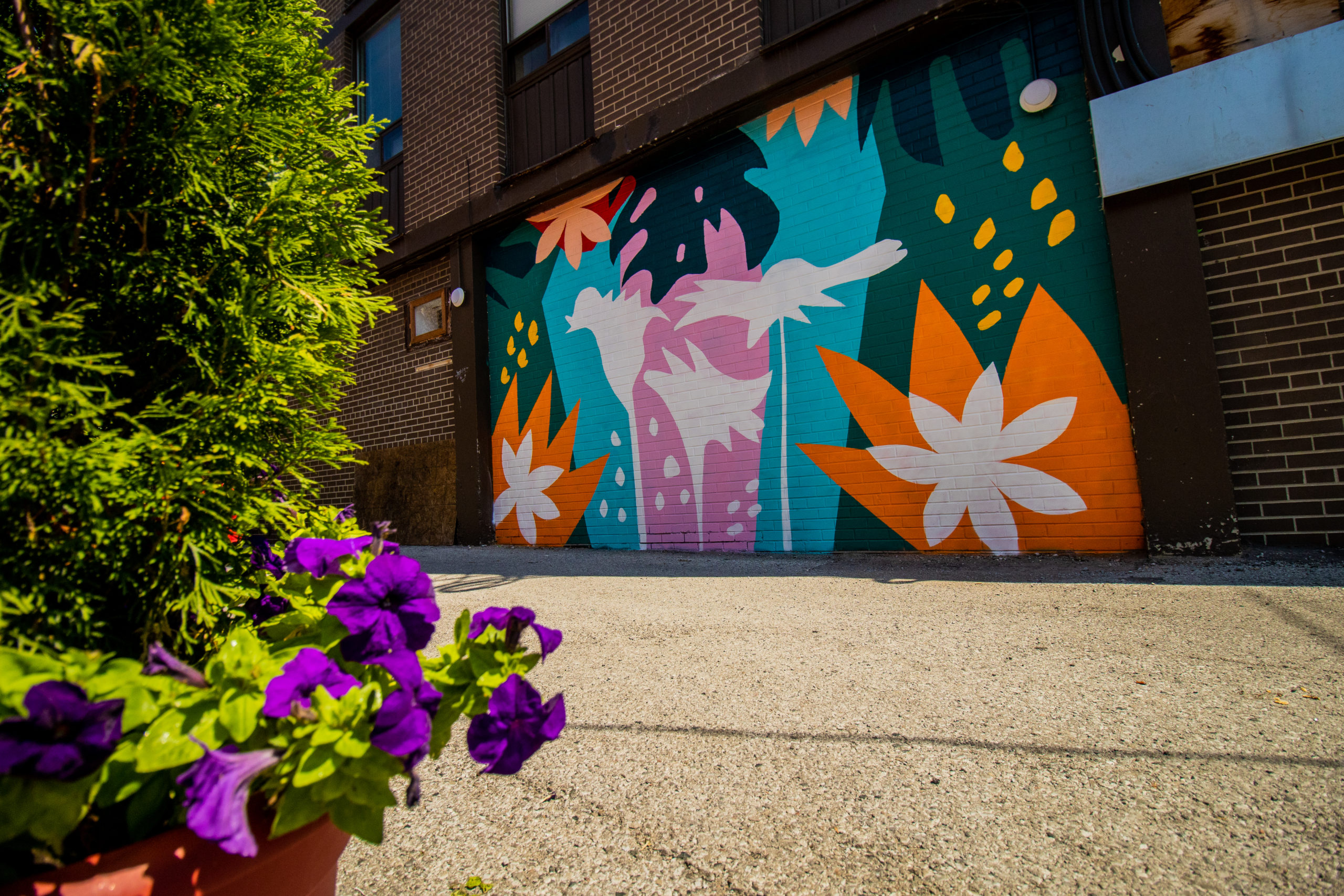 GETSO's mural painted in bright colours with abstract shapes and flowers