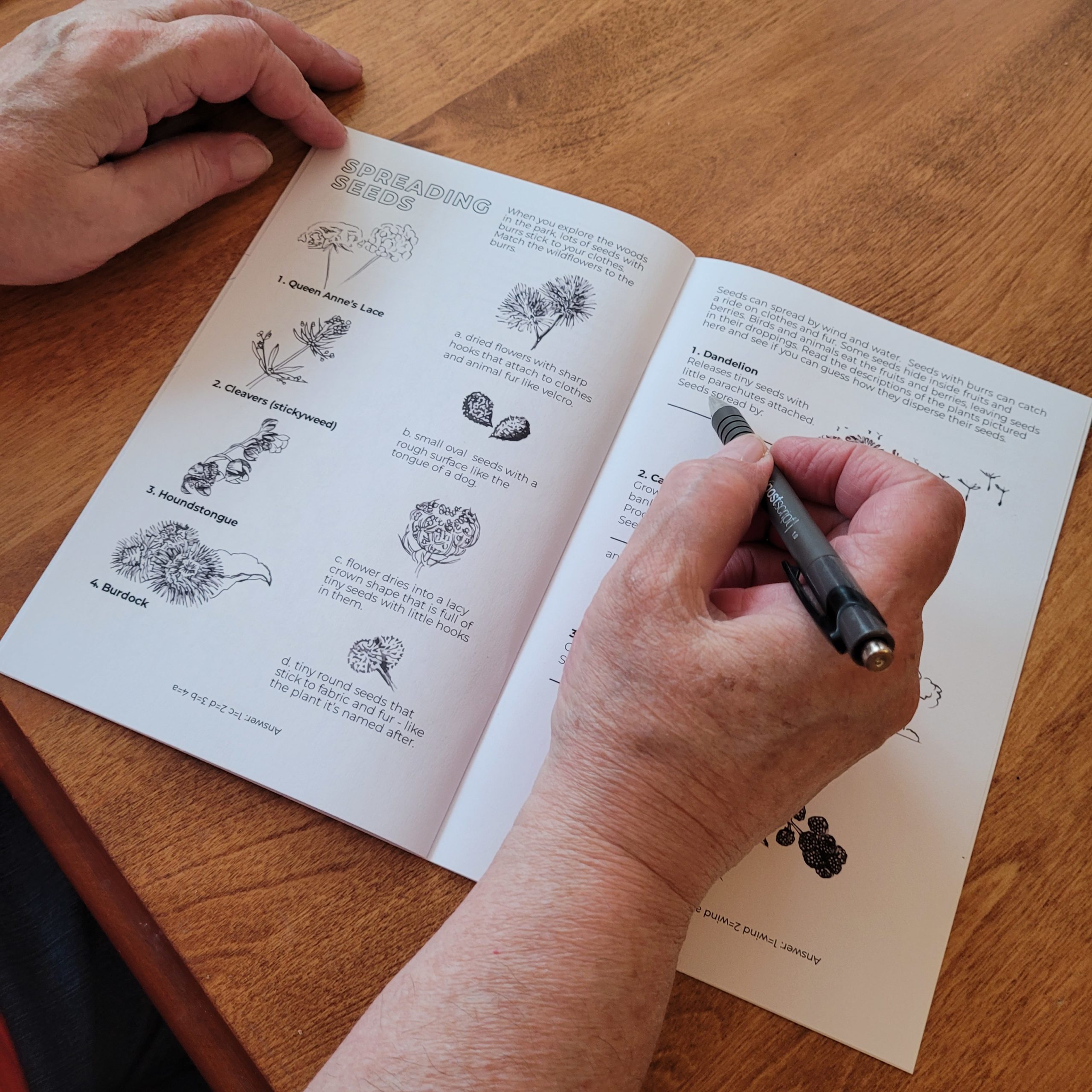 Cropped photo of a person filling out black and white activity book, one holding pen (right) and other is holding book open on wooden table