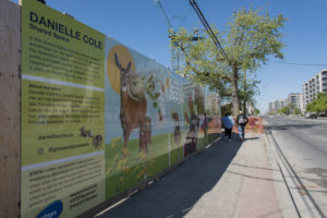 Hoarding exhibit by artist Danielle Cole with illustrations of animals and greenspaces.