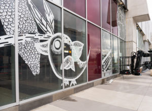 Large-scale white vinyl window mural installation at Finch West TTC station with artwork designed by Fatspatrol and North York community members. The vinyls incorporate imagery of birds and nature.