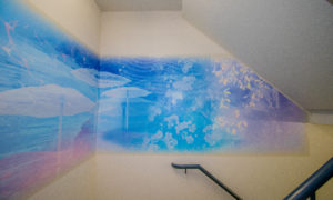 Colourful abstract mural of various city and nature imagery