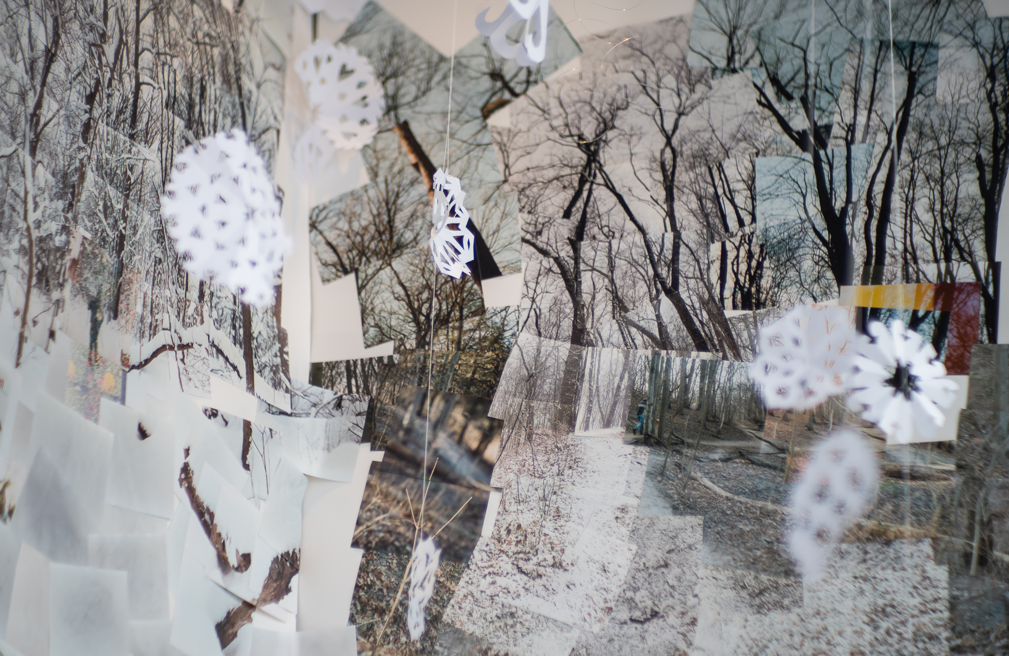 Photo of an interior window display with collaged images of trees and a winter walking path, plus paper snowflakes hanging by strings.