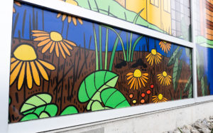 A close-up of a window mural with colourful illustrations with bold colours and outlines. The scene is of orange flowers and green leaves growing on soil with water in the background