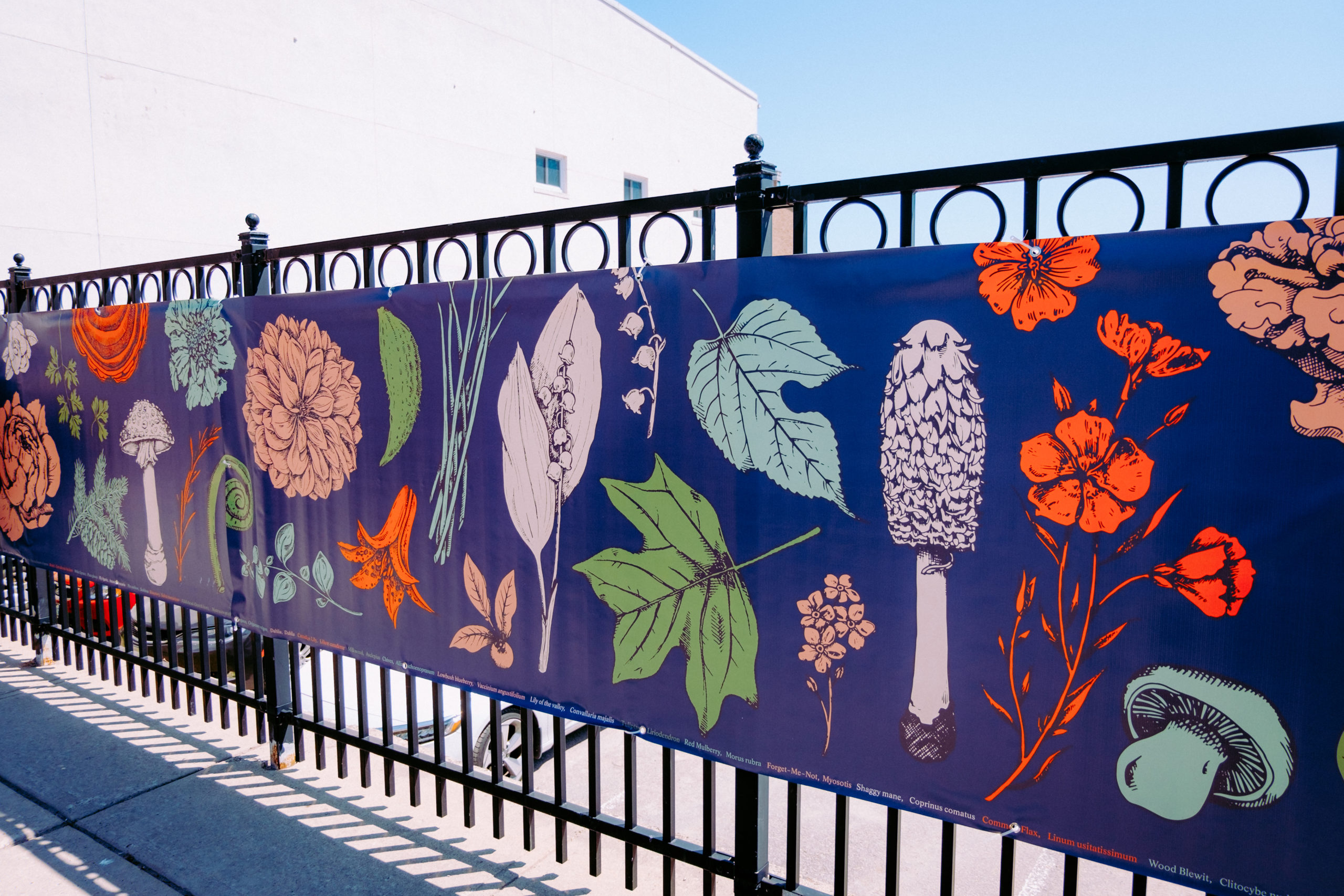 Mushroom and plant banner by Oksana Hawrylak in Downtown Brockville