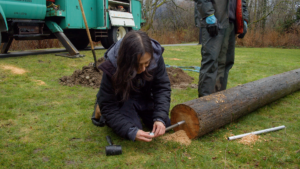 Horizontal photo of artist Laara Cerman drilling a hole down the center of a tree log, it is laying on green grass. There is another person standing beside it, with a pile of dirt, shovel and truck in the background.
