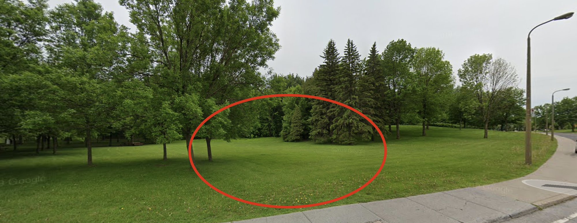 Google streetview of Mount Royal Park in Montreal, Quebec with a red drawn circle to indicate a possible location for a public art installation
