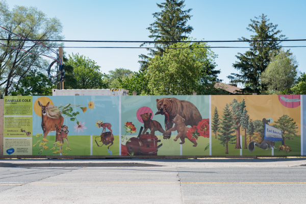 Construction hoarding with public artwork by Danielle Cole for Crowned Communities with STEPS Public Art. The artwork is in collage-style with images of wildlife, animals and plants.