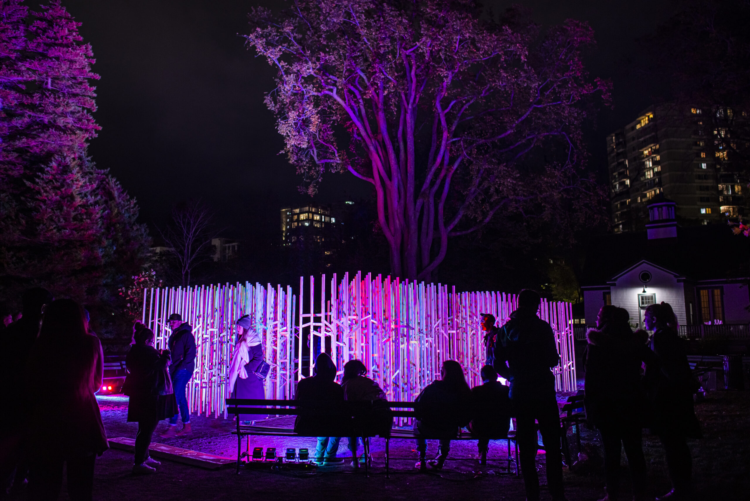 Creative City Ideas: Participants enjoy Halifax's Nocturne Art At Night Festival, where Luminous Cloud Passage installation lights up the city in purple