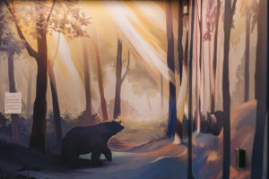 A mural of a black bear in a sunlit forest for the BMO National Mural series by Marcelline Siu