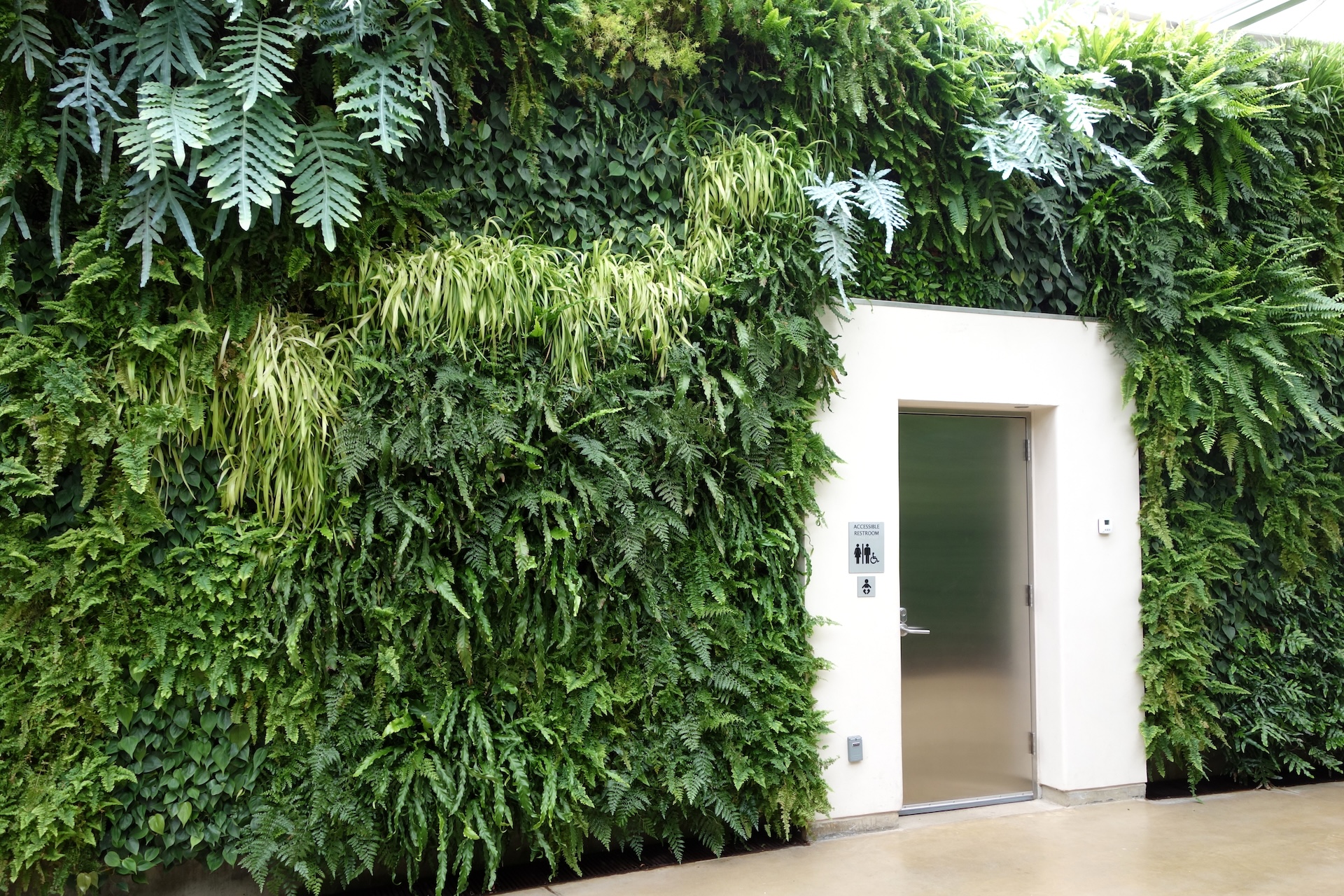 A wall of vegetation in Longwood Gardens